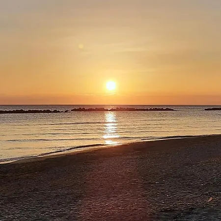 Falcone Ortona