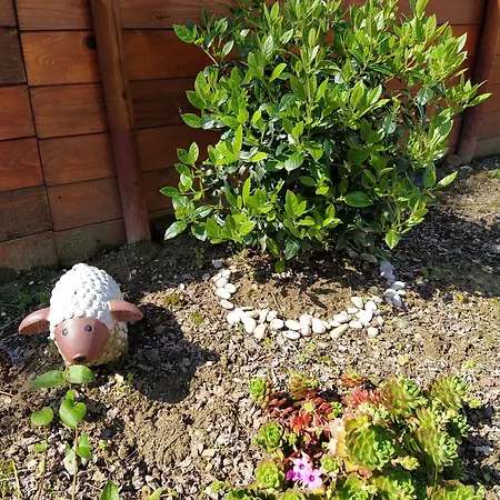 Frühstückspension Falcone Ortona