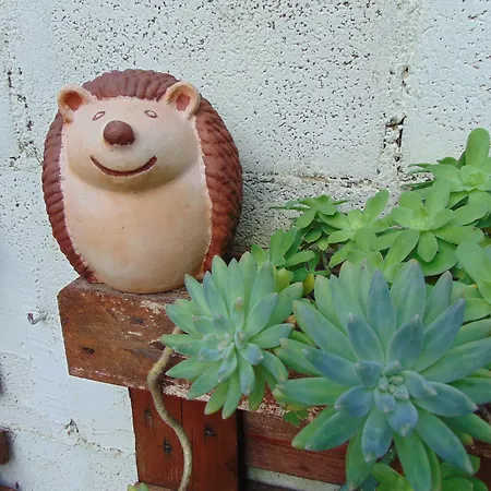 Frühstückspension Falcone