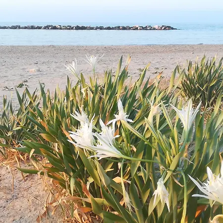 Frühstückspension Falcone Ortona