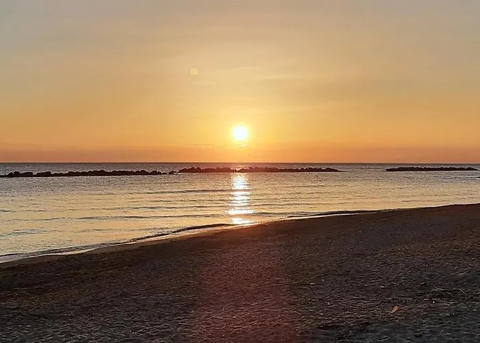 Falcone 오르토나