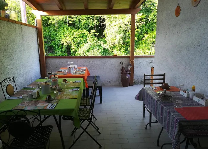 Falcone 오르토나