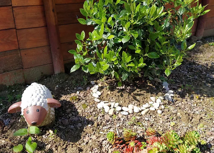 B&B Falcone 오르토나