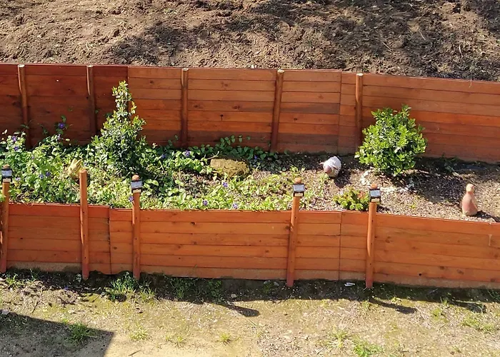 Falcone 3* 오르토나