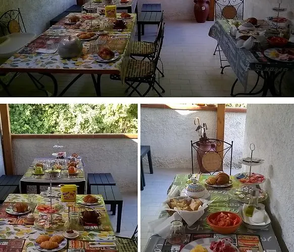 Falcone 오르토나